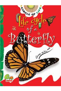 Circle of Life: Life Cycle of a Butterfly