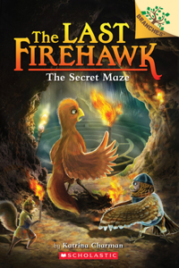 The Secret Maze: A Branches Book (The Last Firehawk #10): A Branches Book Volume 10