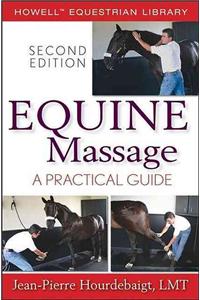 Equine Massage