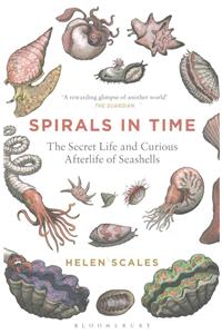 Spirals in Time