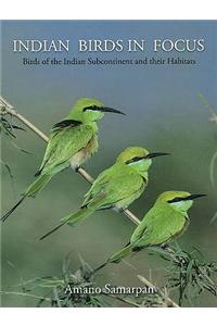 Indian Birds in Focus