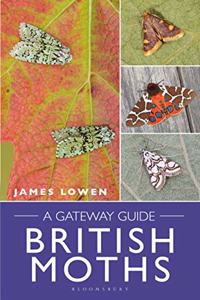 British Moths: A Gateway Guide