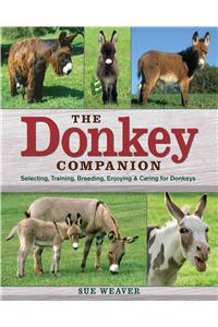 Donkey Companion