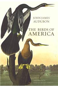 The Birds of America