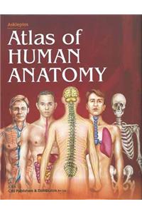 Asklepios Atlas Of Human Anatomy Sie (Pb-2014)