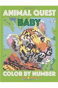 BABY ANIMAL QUEST Color by Number