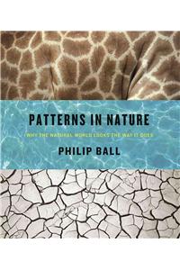 Patterns in Nature