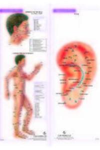 4 Acupuncture Charts