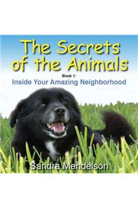 Secrets of the Animals: Inside Your Amazing Neighborhood