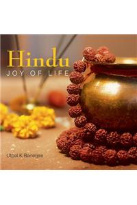 Hindu Joy Of Life