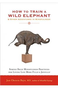 How to Train a Wild Elephant