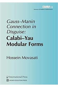 Gauss–Manin Connection in Disguise