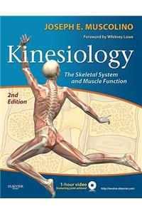 Kinesiology: The Skeletal System and Muscle Function