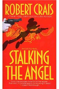 Stalking the Angel