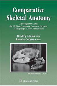 Comparative Skeletal Anatomy