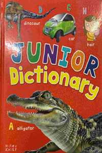 JUNIOR DICTIONARY (MILES KELLY)