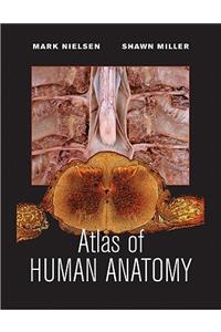 Atlas of Human Anatomy