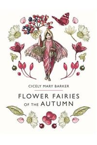 Flower Fairies of the Autumn