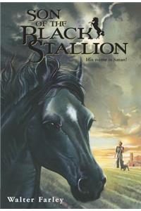 Son of the Black Stallion