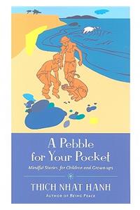 A Pebble for Your Pocket