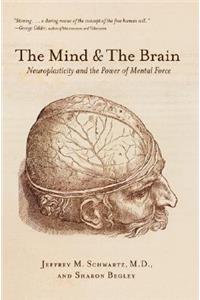 Mind and the Brain