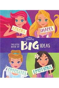 Disney Princess: The Little Book of Big Ideas