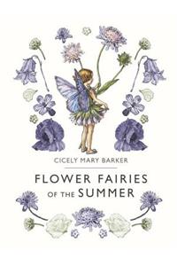 Flower Fairies of the Summer