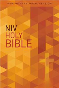 NIV, Value Outreach Bible, Paperback