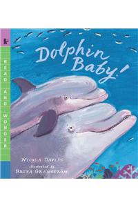 Dolphin Baby!