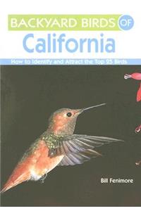 Backyard Birds of California: How to Identify and Attract the Top 25 Birds