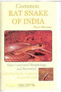 The Common Rat Snake of India: Their Funnctional Morphology and Bionomics