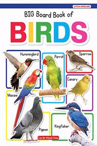 Big Board Book Of Birds