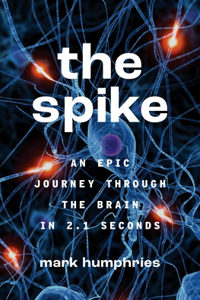 Spike: An Epic Journey Through the Brain in 2.1 Seconds