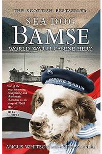 Sea Dog Bamse