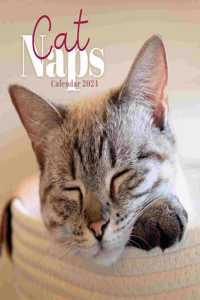 Cat Naps Mini Calendar 2024