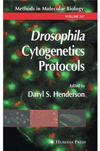 Drosophila Cytogenetics Protocols