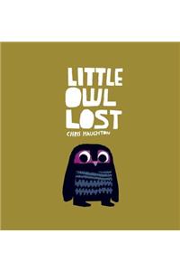 Little Owl Lost