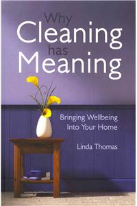 Why Cleaning Has Meaning