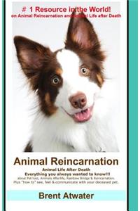 Animal Reincarnation: Everything You Always Wanted to Know! about Pet Reincarnation plus "how to" techniques to see, feel & communicate with your deceased pet