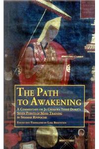 Path to Awakening