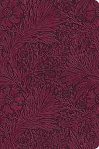 ESV Large Print Value Thinline Bible (Trutone, Raspberry, Floral Design)