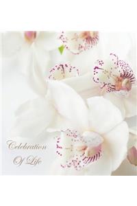 Celebration of Life, In Loving Memory Funeral Guest Book, Wake, Loss, Memorial Service, Love, Condolence Book, Funeral Home, Missing You, Church, Thoughts and In Memory Guest Book (Hardback)