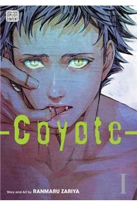 Coyote, Vol. 1