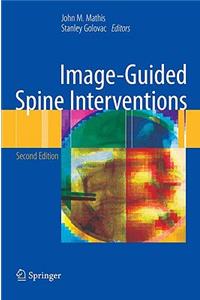 Image-Guided Spine Interventions