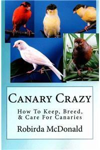 Canary Crazy