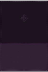 Amplified Study Bible, Imitation Leather, Purple