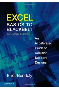 Excel Basics to Blackbelt