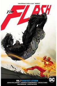 Flash Vol. 7: Perfect Storm