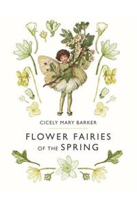 Flower Fairies of the Spring