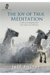 The joy of True Meditation